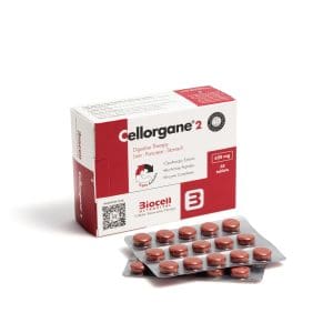 Cellorgane® 2 Digestive Therapy